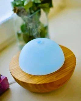 Luchtbevochtiger met houten basis en blauwe bovenkant op vensterbank, decoratieve plant op achtergrond