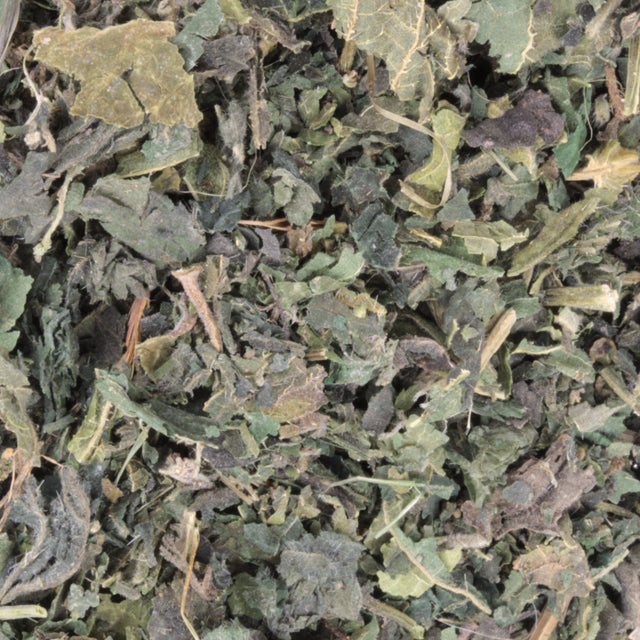Nettle