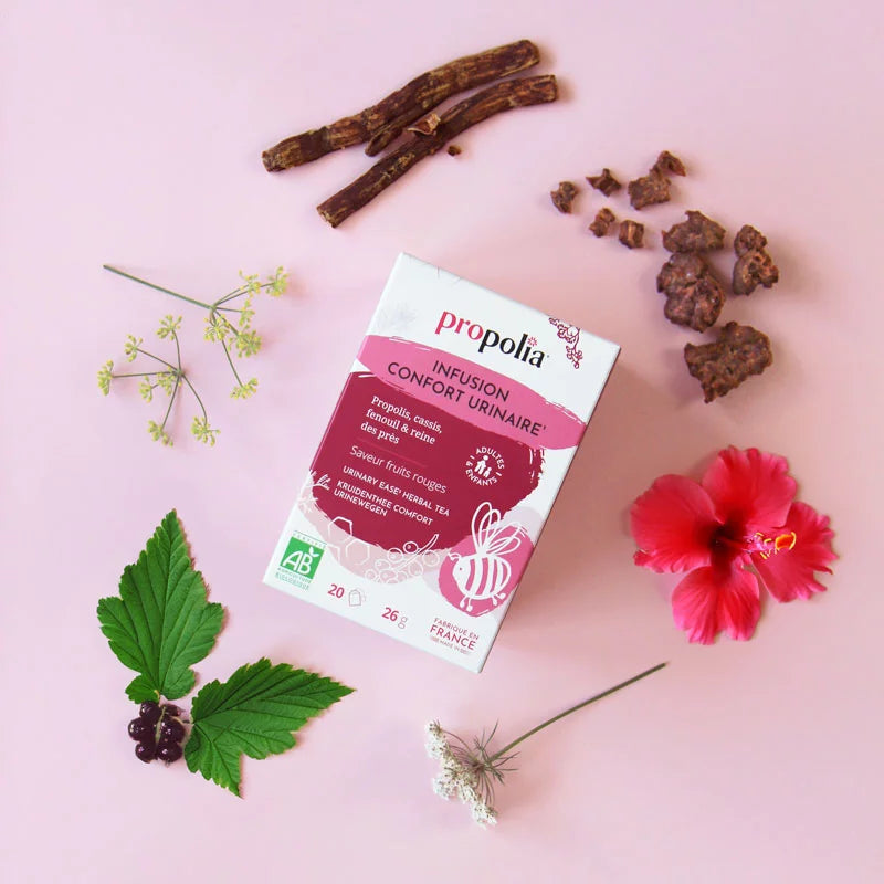 Herbal Tea Comfort Urinary Tract BIO