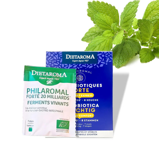 Melkzuurfermenten krachtig