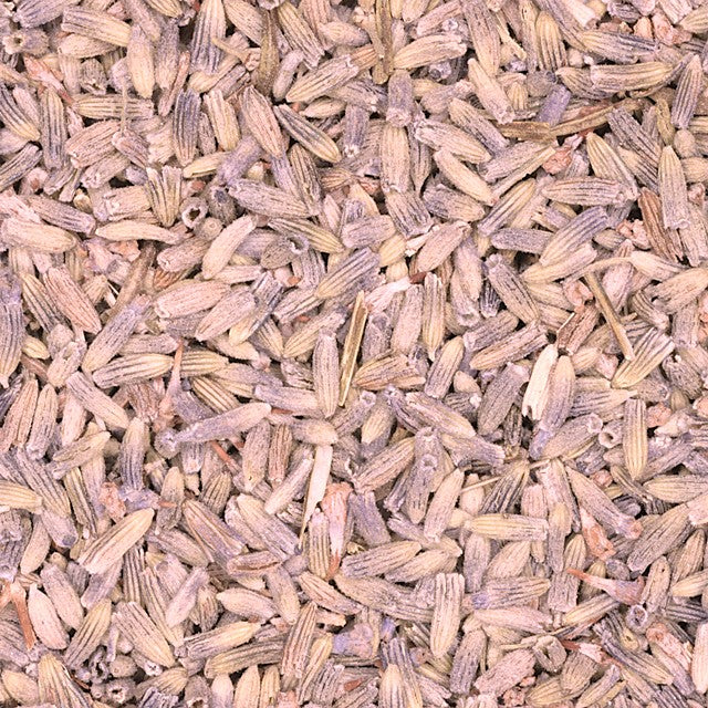 Lavendel
