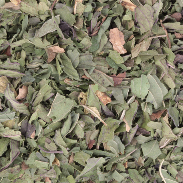 Menthe poivrée
