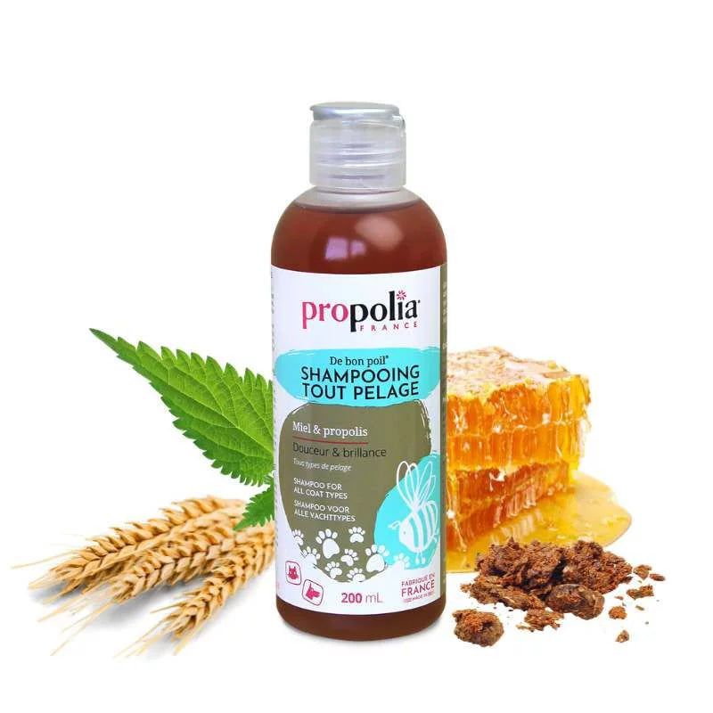 Shampoo all coat types with Honey and Propolis