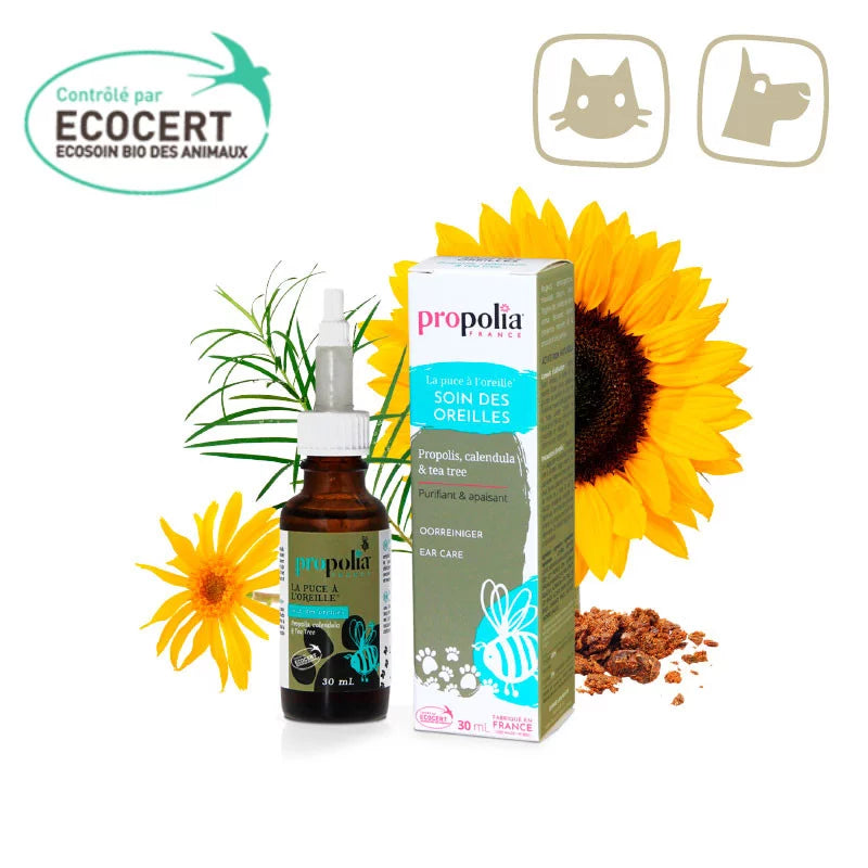 Oorreiniger BIO met Propolis, Tea tree en Calendula
