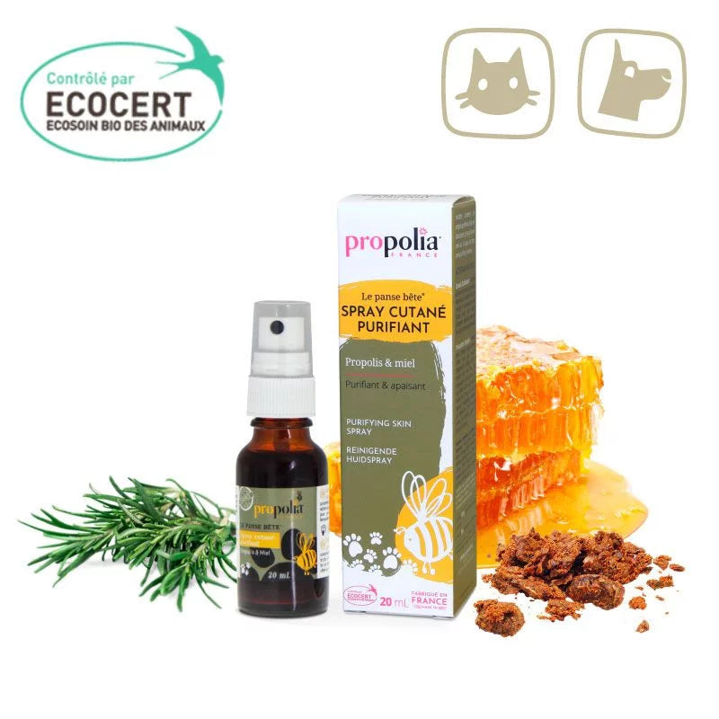 Zuiverende huidspray BIO met propolis en honing