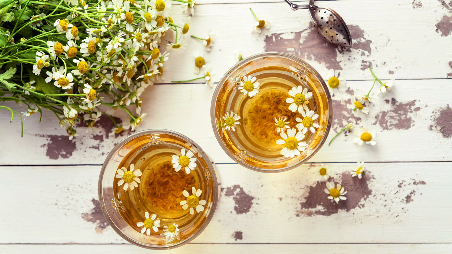 Twee glazen kamillethee met drijvende kamillebloemen op een witte houten tafel met verse kamille en thee-ei