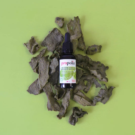 Groene Propolis Moedertinctuur BIO